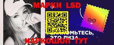 амф Владимир
