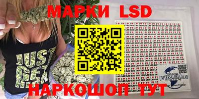 амф Владимир