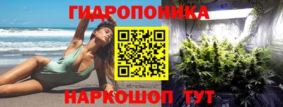 молекула духа Владивосток