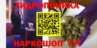 ПСИЛОЦИБИНОВЫЕ ГРИБЫ Владикавказ