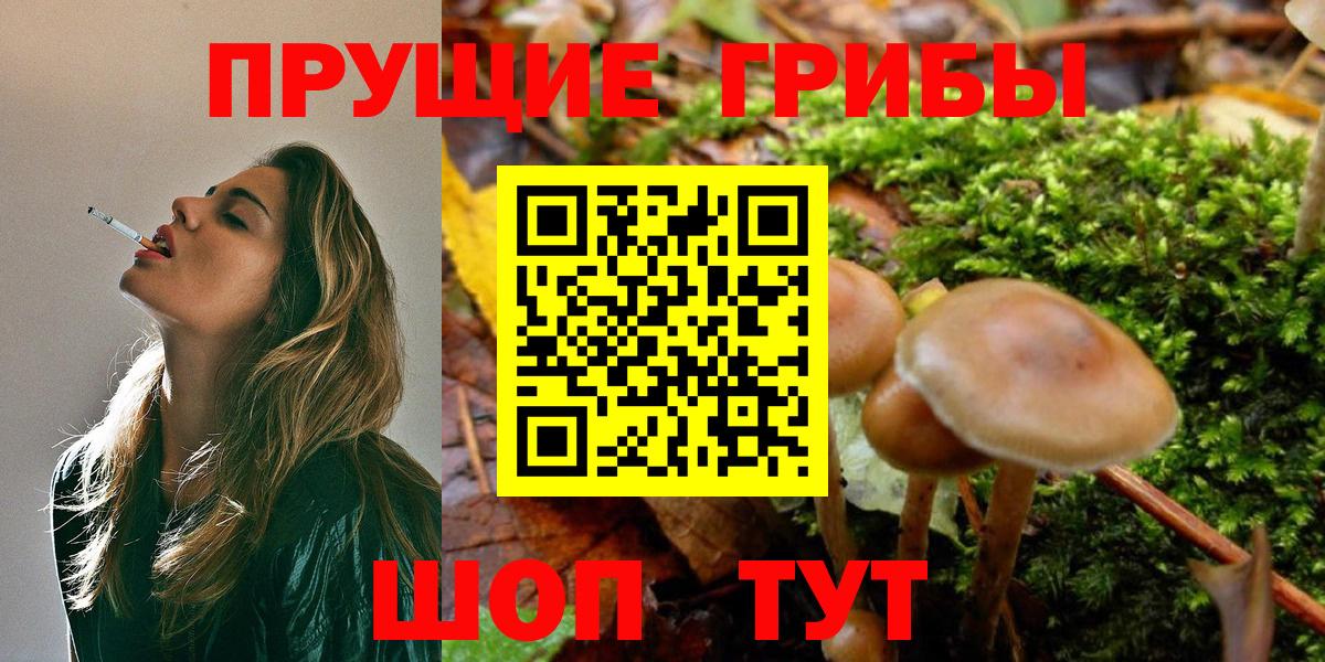 Богородск  Галлюциногенные грибы мухоморы  Вход с VPN  Галлюциногенные грибы Cubensis 