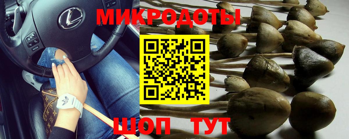 Псилоцибиновые грибы ЛСД Богородск