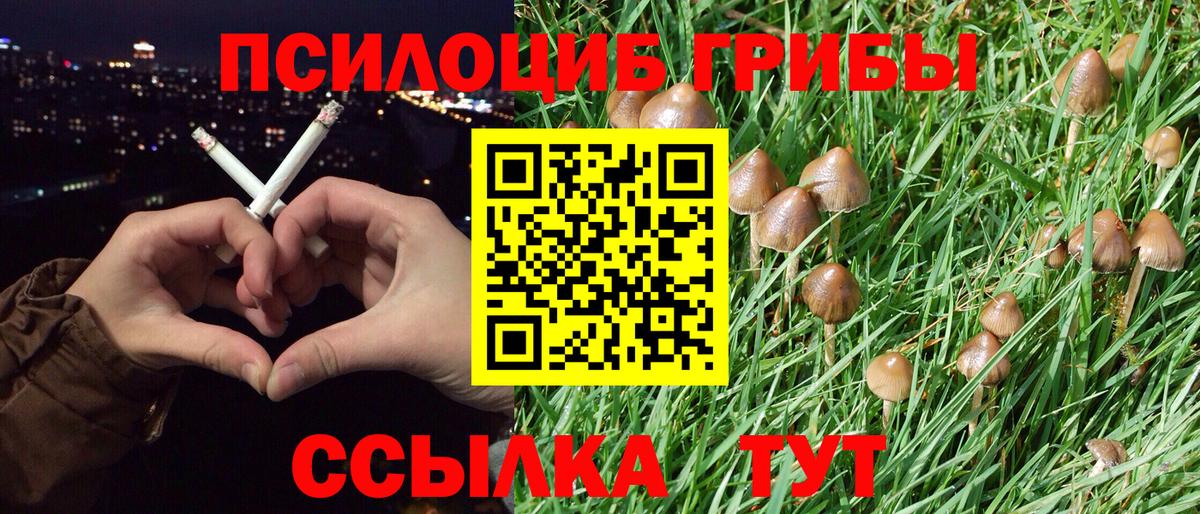 Галлюциногенные грибы прущие грибы  Богородск  где продают наркотики  Галлюциногенные грибы мухоморы 